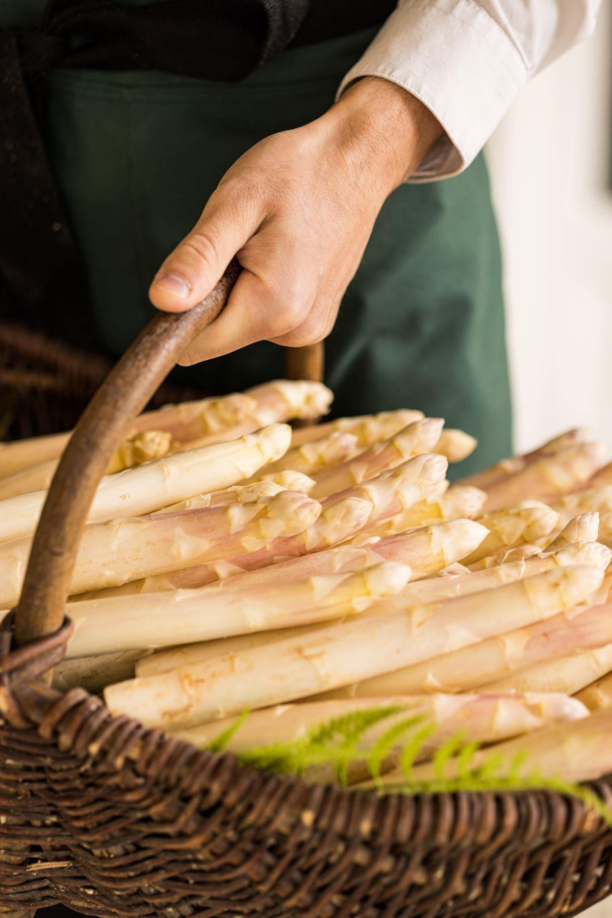Asperges en fête