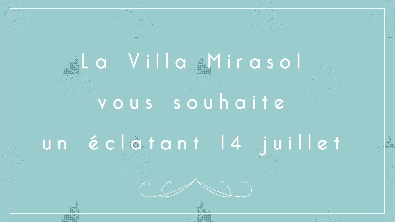 Concert & Feu d'artifice